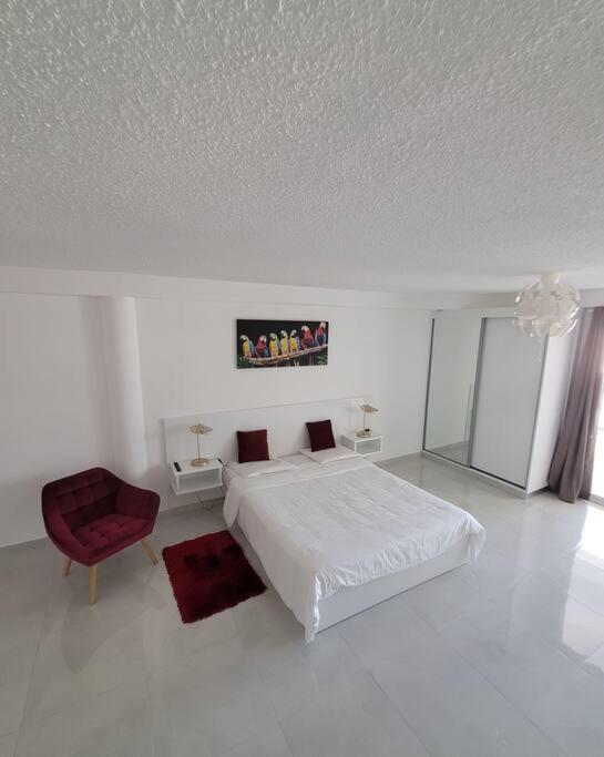Hello Guyane, Suite Collection (5), 5 étoiles. - Hizvo