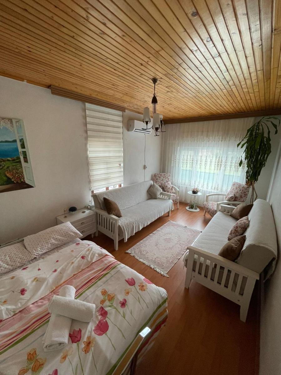 Eren Villa - Hizvo
