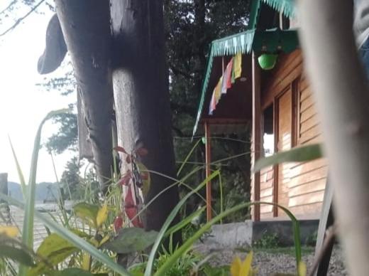 Bluepine Cottages Pangot by Nature Nests - Housity