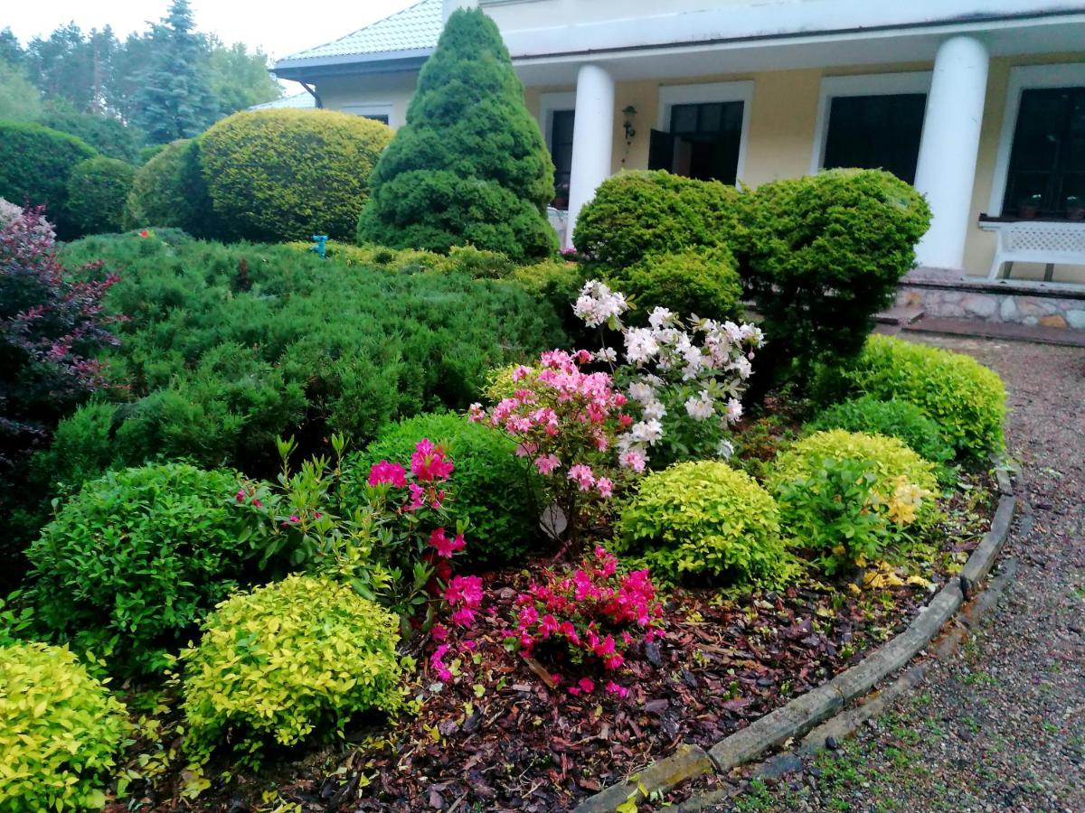 Wrzosowe Siedlisko - Housity