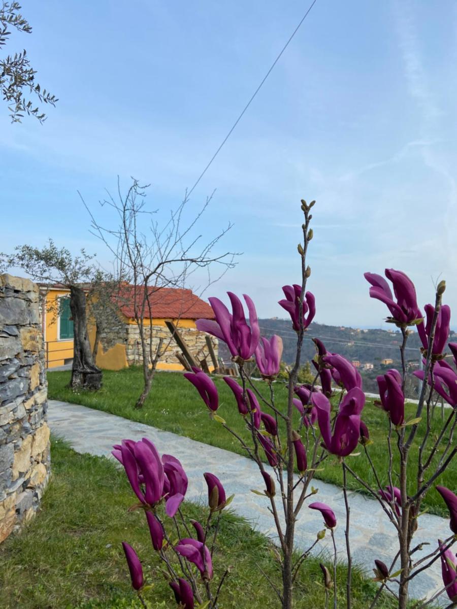 Sunrise Holiday Home - Housity