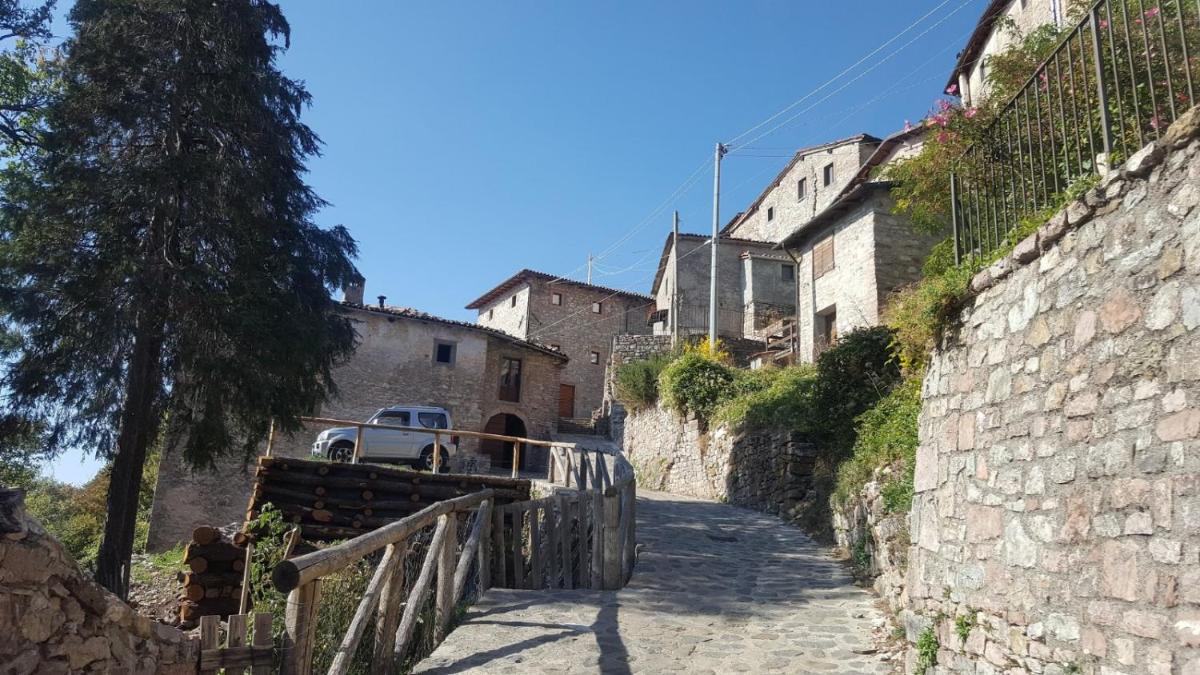 Agriturismo La vecchia scuola - Housity