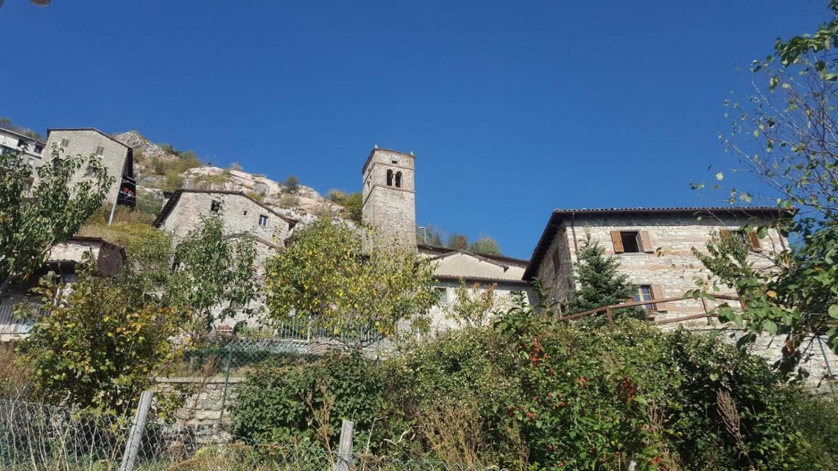 Agriturismo La vecchia scuola - Housity
