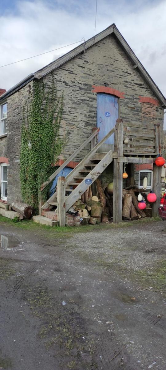 Toad Hall Hostel - Housity
