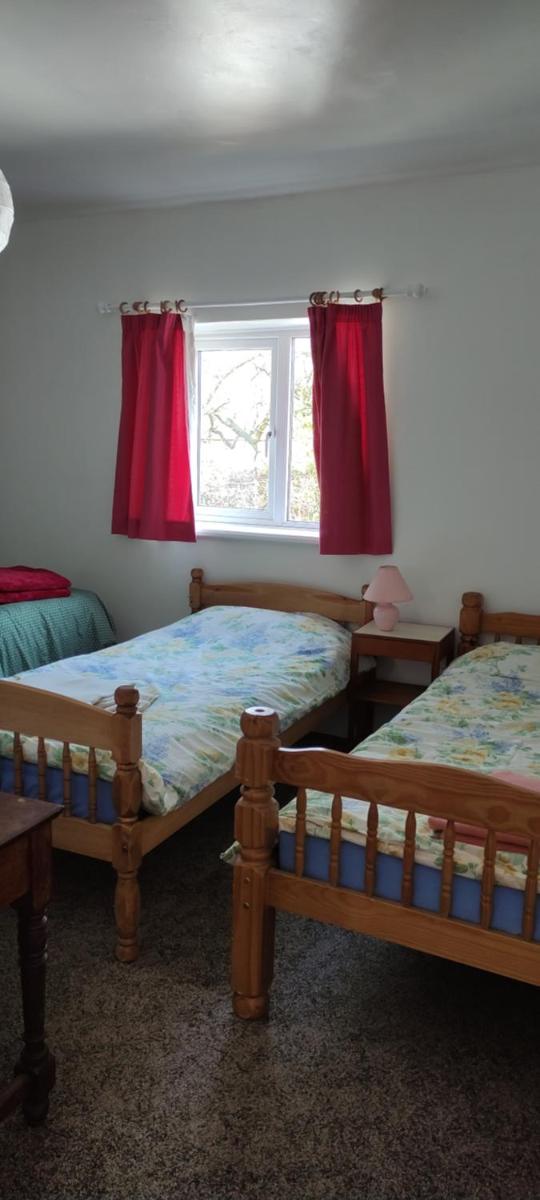 Toad Hall Hostel - Housity