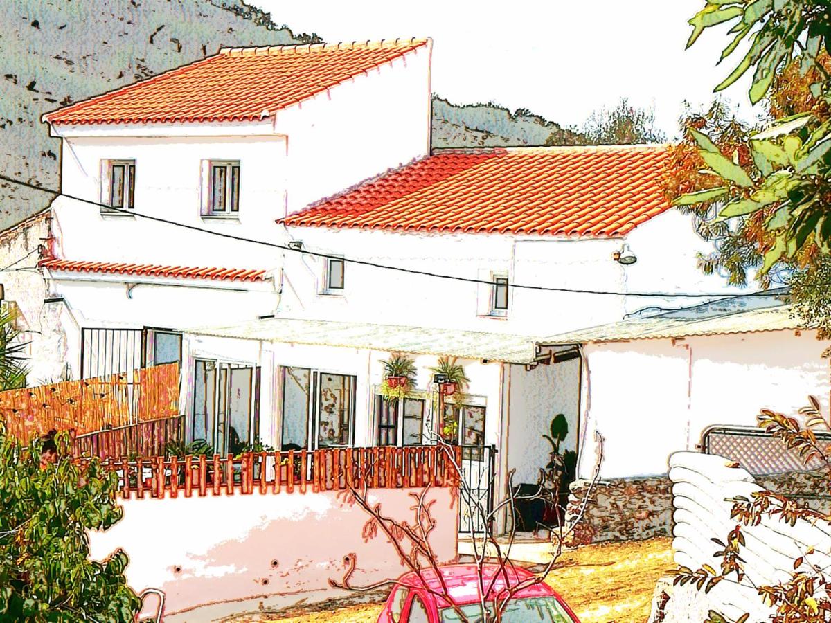 Casa Aguila 2.0 - Housity
