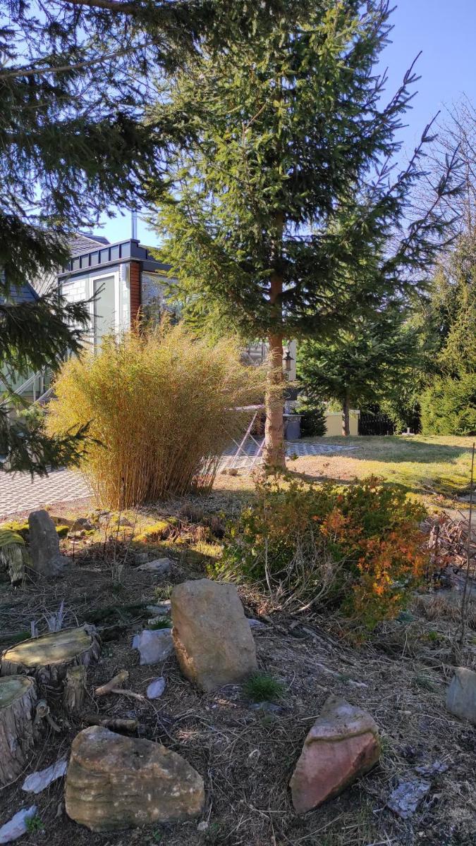 Zum Tischler - Housity