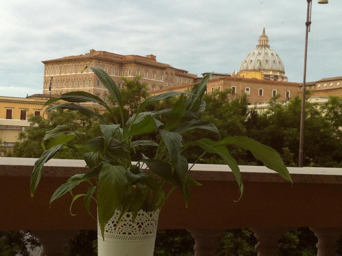 Un Caffè sul Balcone 2 - Housity