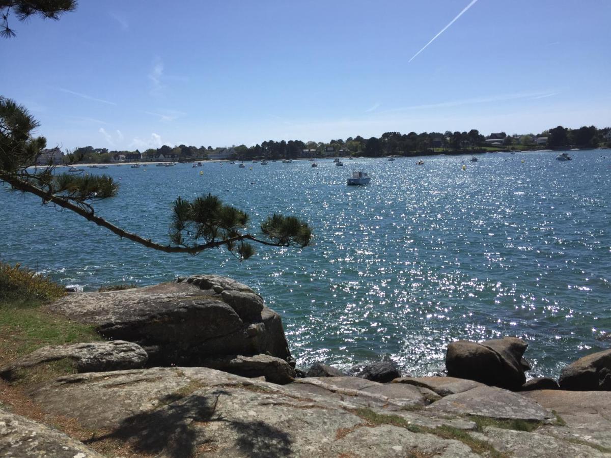 Au bord de l'eau à ConcarnOLoc - Housity