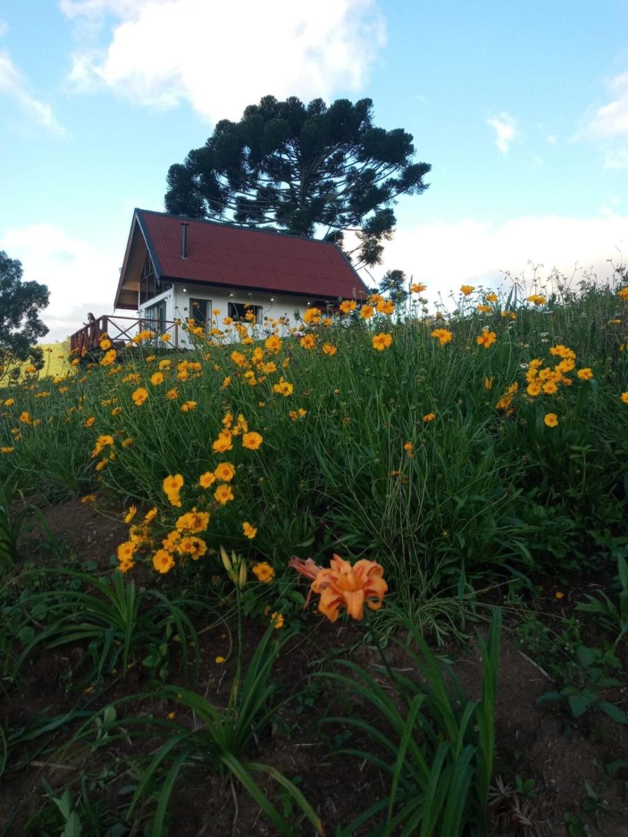 Chalé com vidros e hidromassagem - Housity