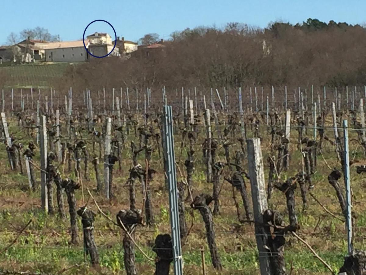 Superbe gîte à la campagne dans le bordelais - Housity