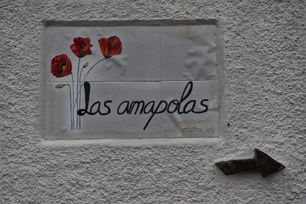 LAS AMAPOLAS - Housity