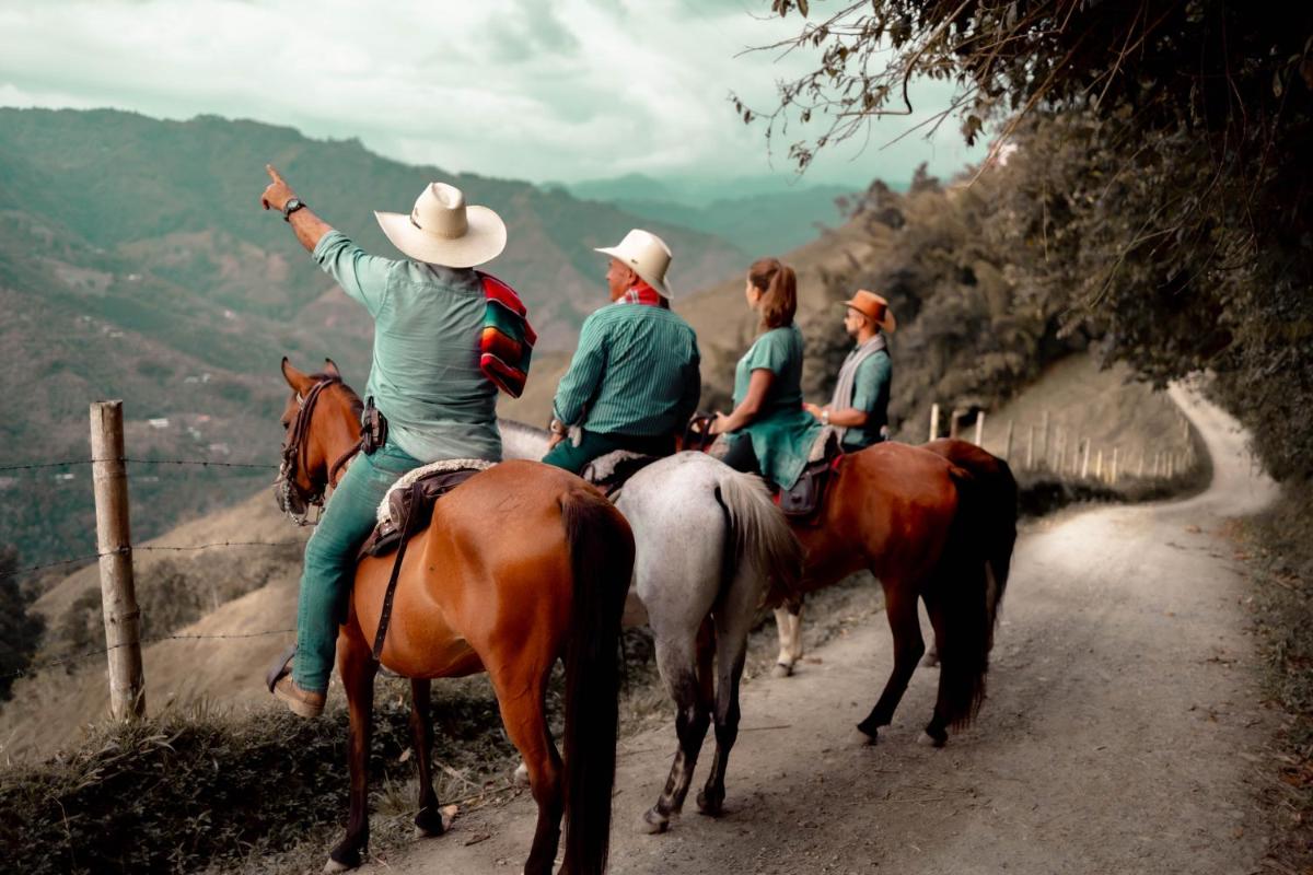 Chamí Glamping - Housity