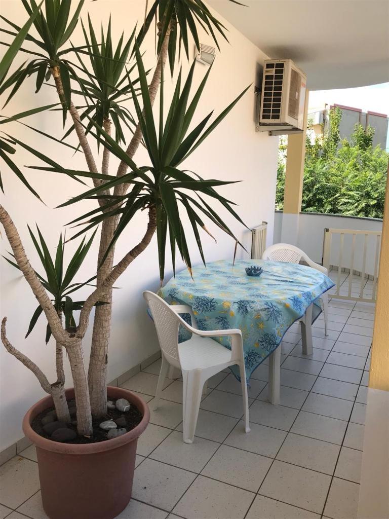 TEA Isola Dino - HOTEL & HOME - Praia a Mare - Hizvo