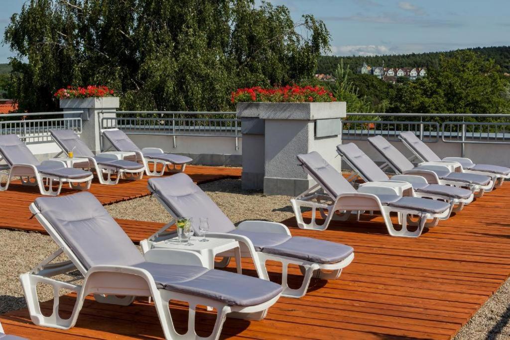 Apartament Bielik - Housity
