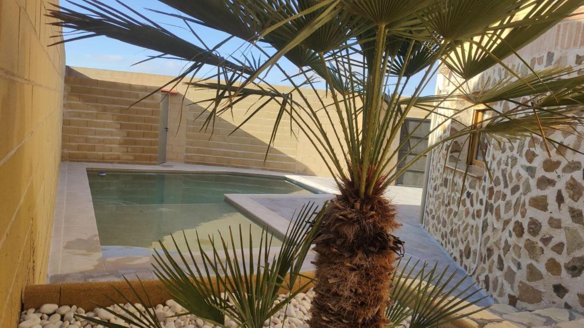 Flor de la Jara - Housity