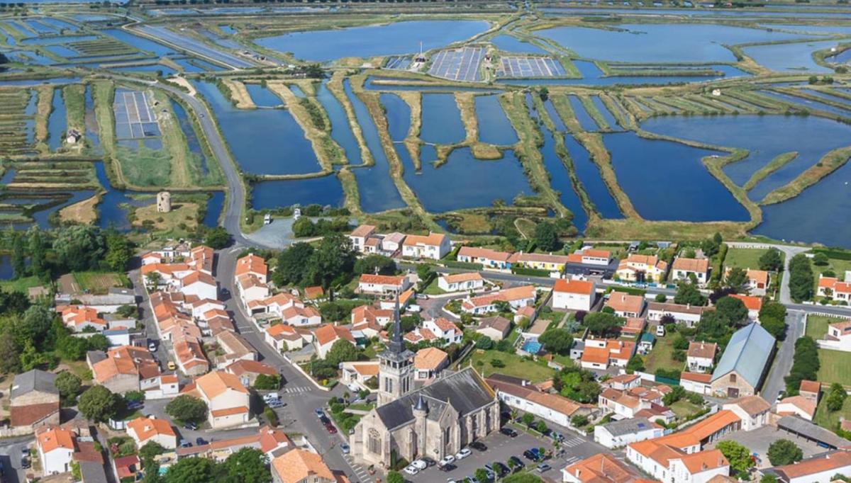 villa des marais d'Olonne - Housity