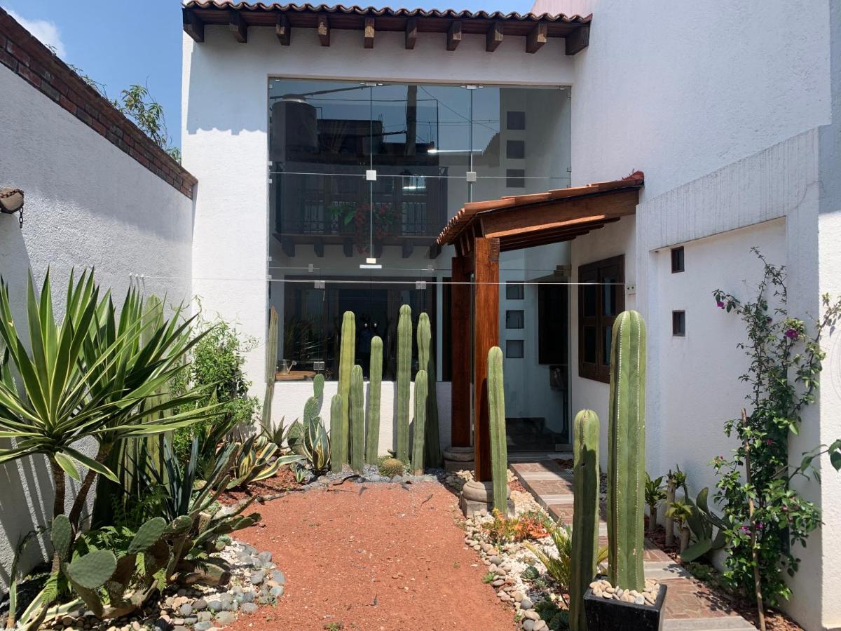 Loftmetepec55 - Housity