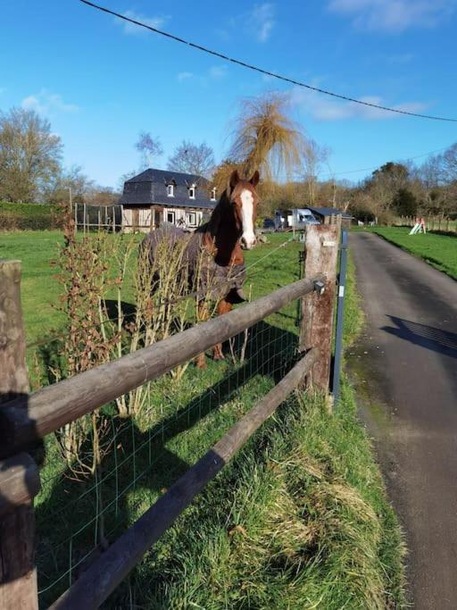 Obungalow de July Belle vue - Housity