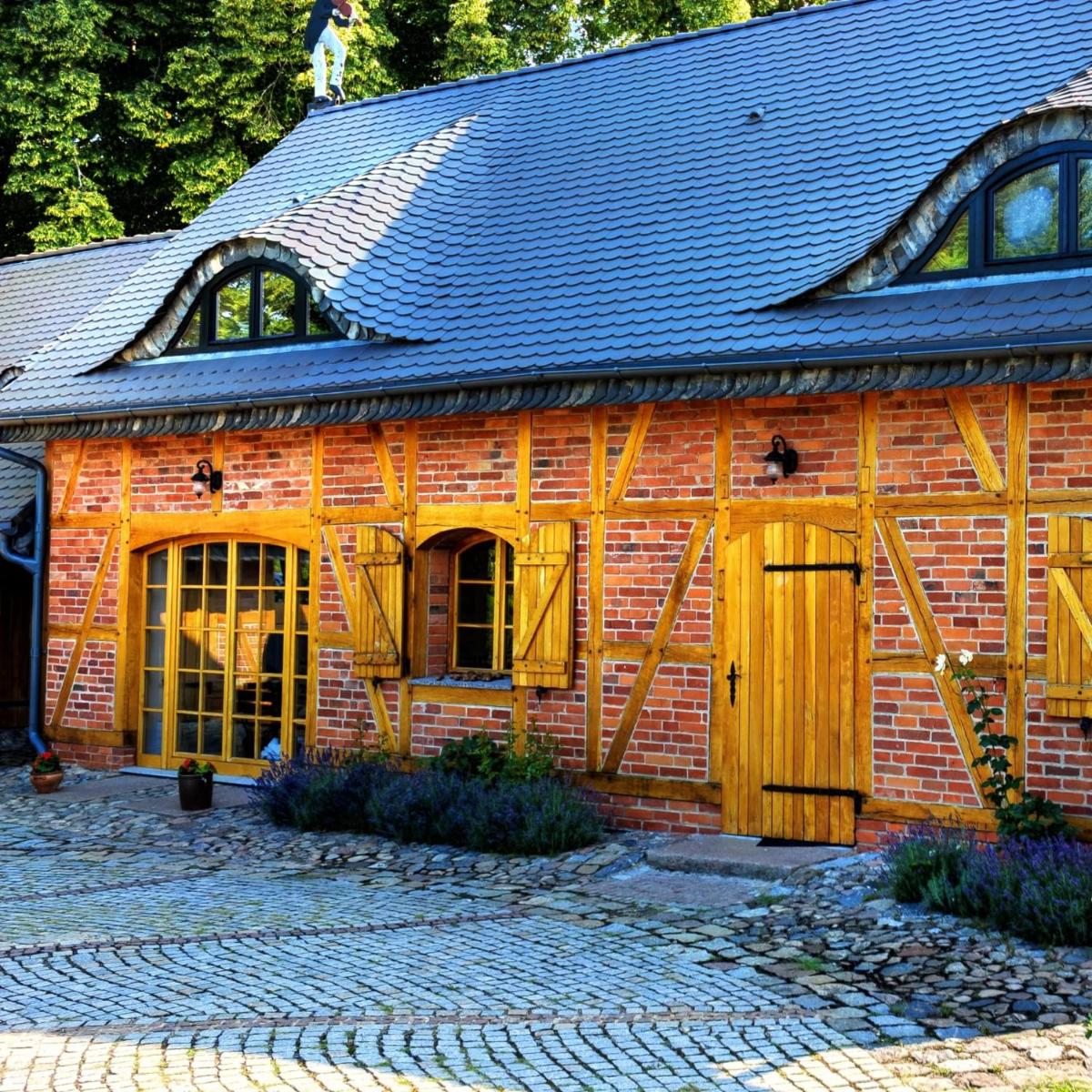 Violin house - Housity