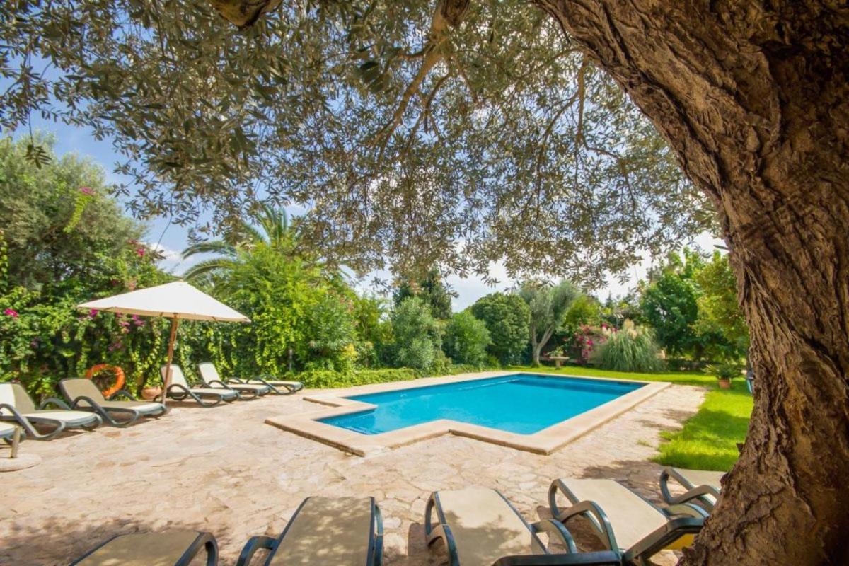 Ideal Property Mallorca - Can Nyany Buger - Housity