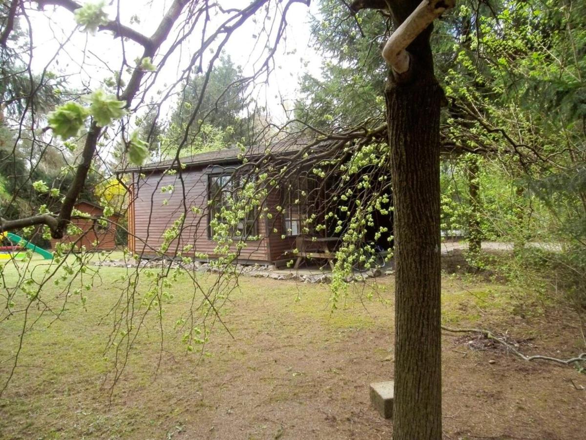 Charming chalet in Tellin with mountain view - Housity