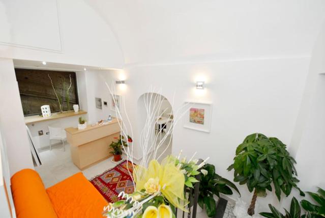 Terra Murata Boutique - Housity