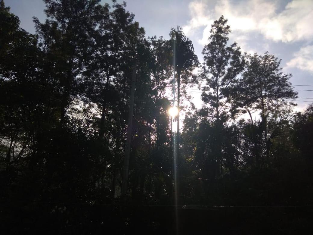 Dreams River view homestay coorg B - Housity