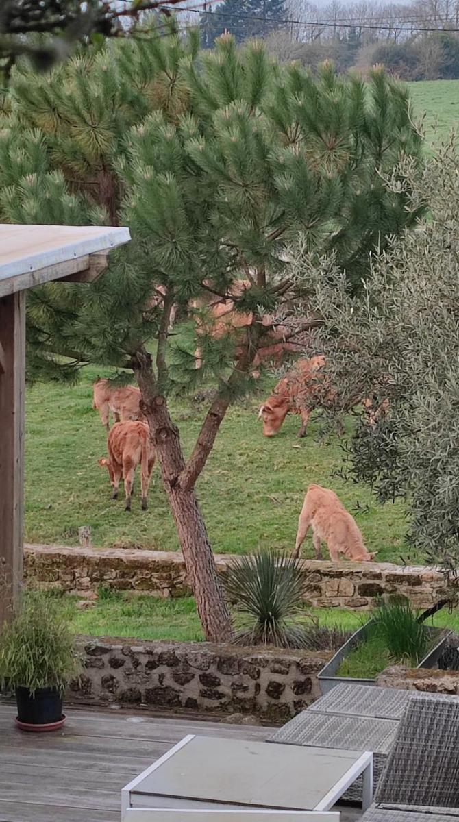 Gîte à la campagne - Housity