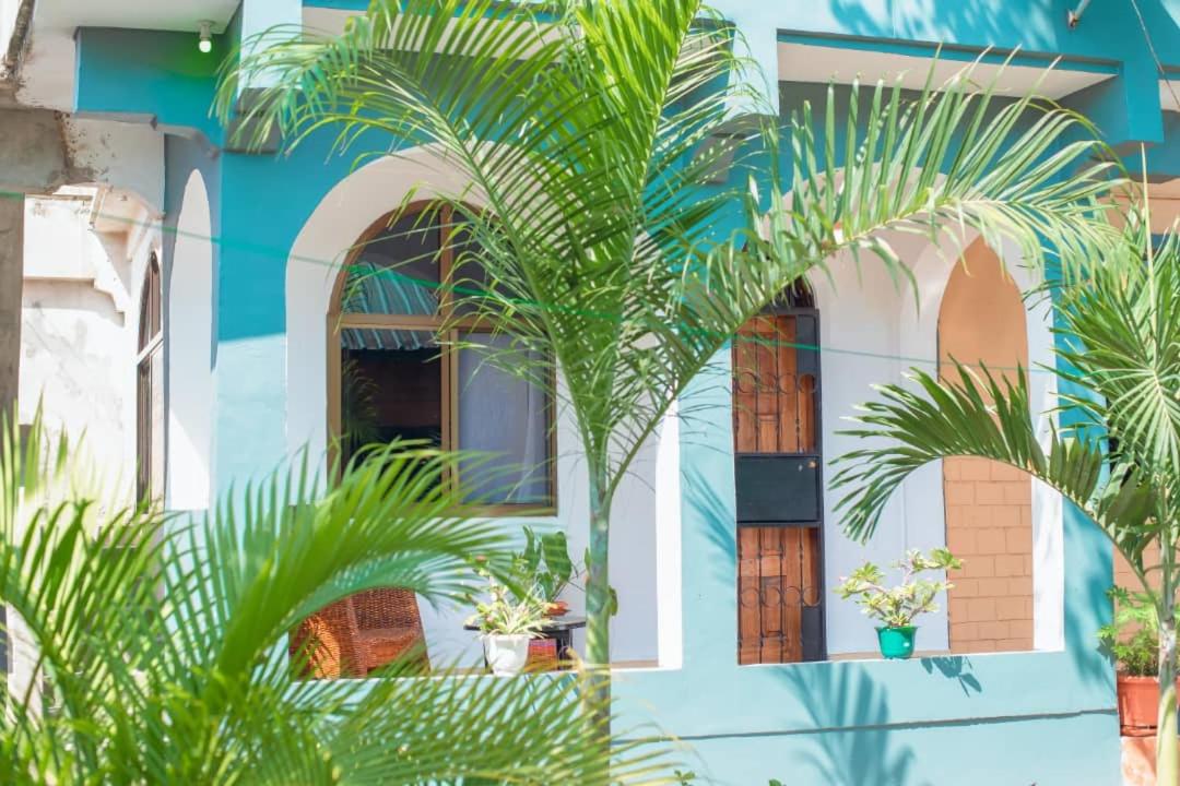 OCEAN TREKKER - Housity