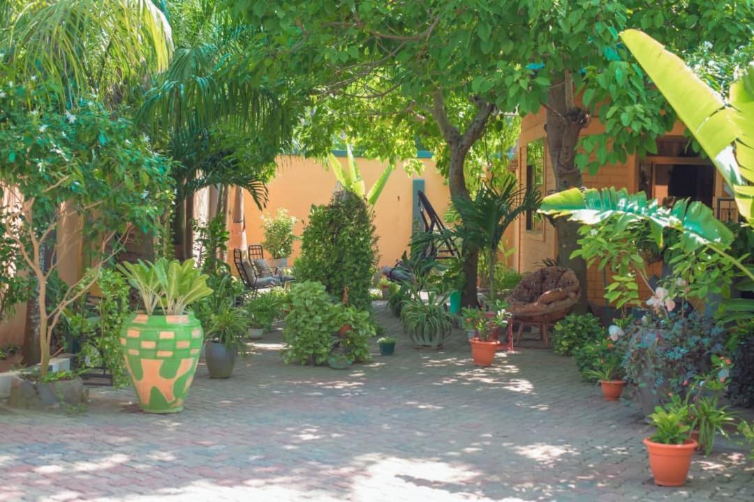 OCEAN TREKKER - Housity