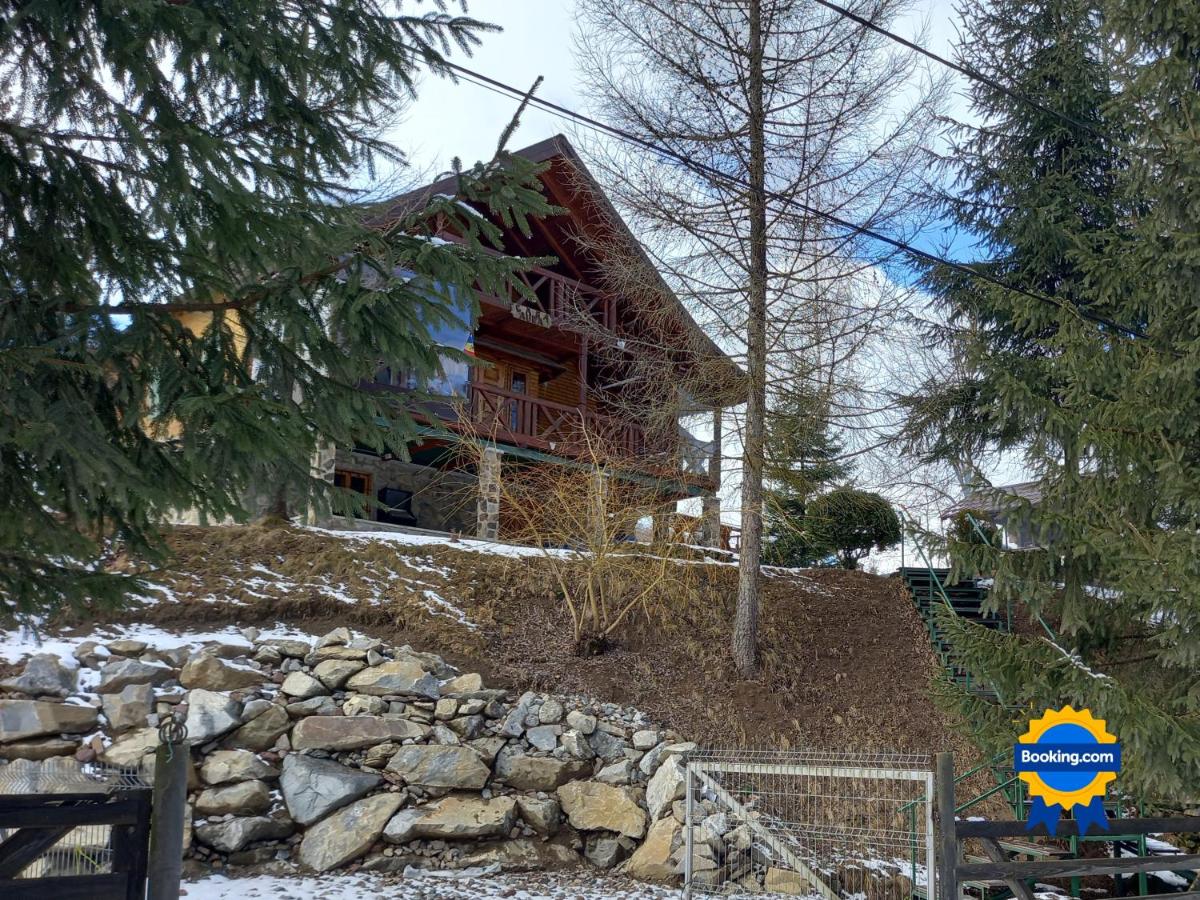Cabana Aura Campulung Moldovenesc - Housity