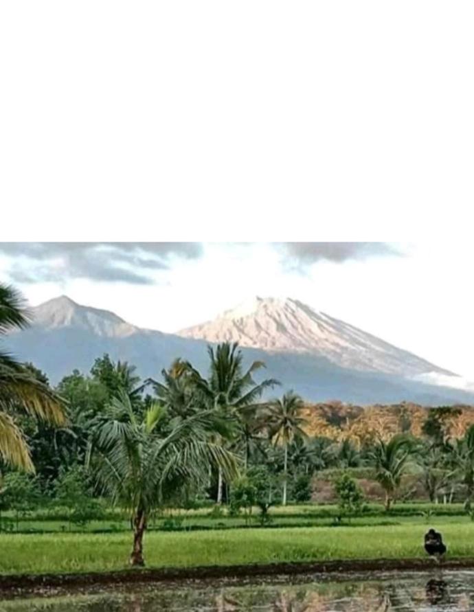 Eltari Homestay - Housity
