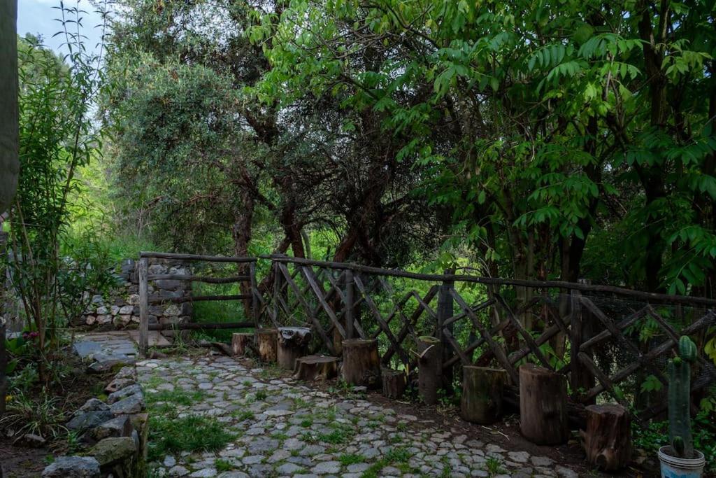Sachara Lodge Cusco - Housity