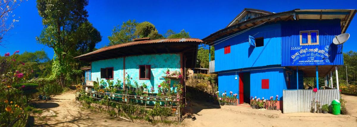 Chintapu Homestay In Ilam, Eastern Nepal - Housity
