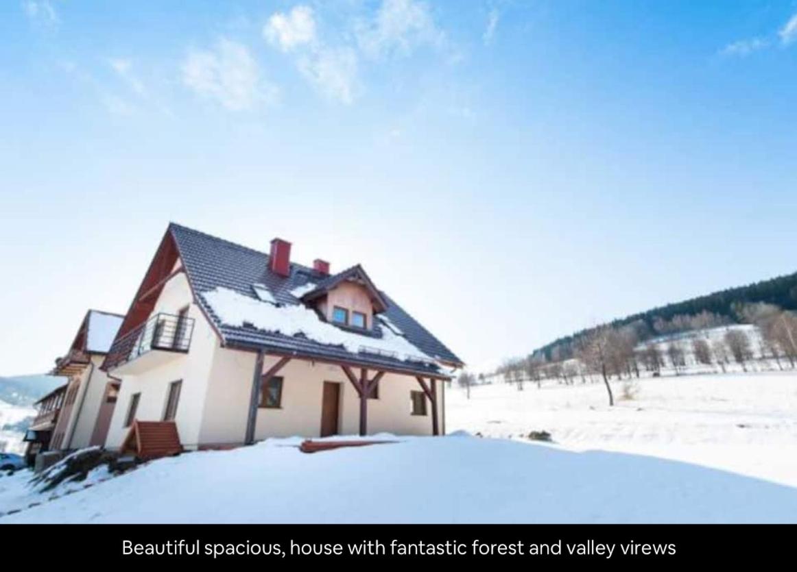 Valley Forest house - Housity
