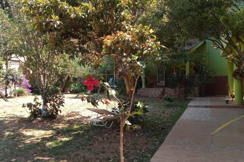 Departamento del bosque planta alta - Housity