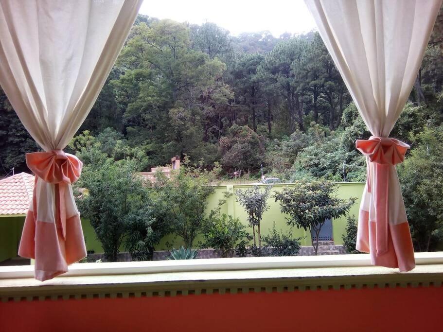 Departamento del bosque planta alta - Housity