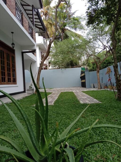 Sky Bloom - Housity