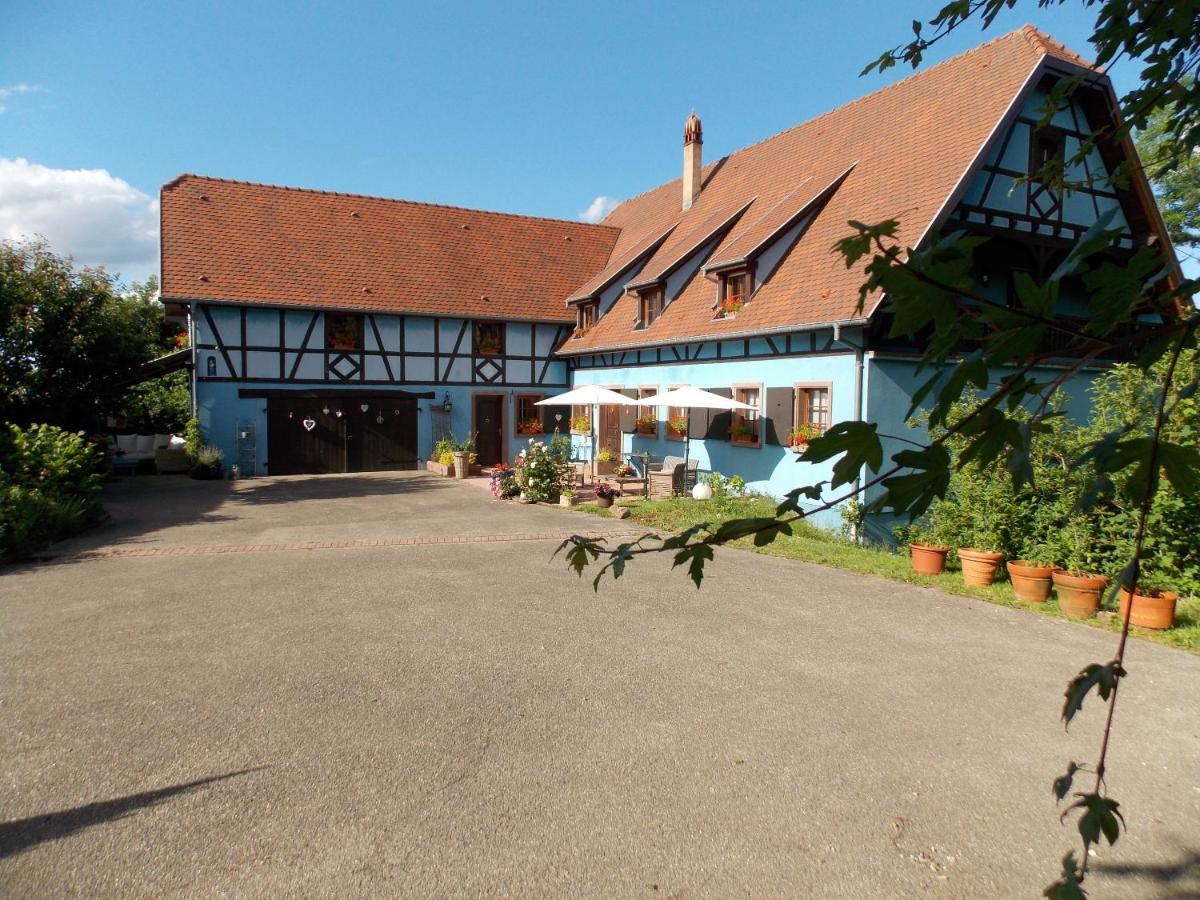 L'atelier du gîte bleu - Housity