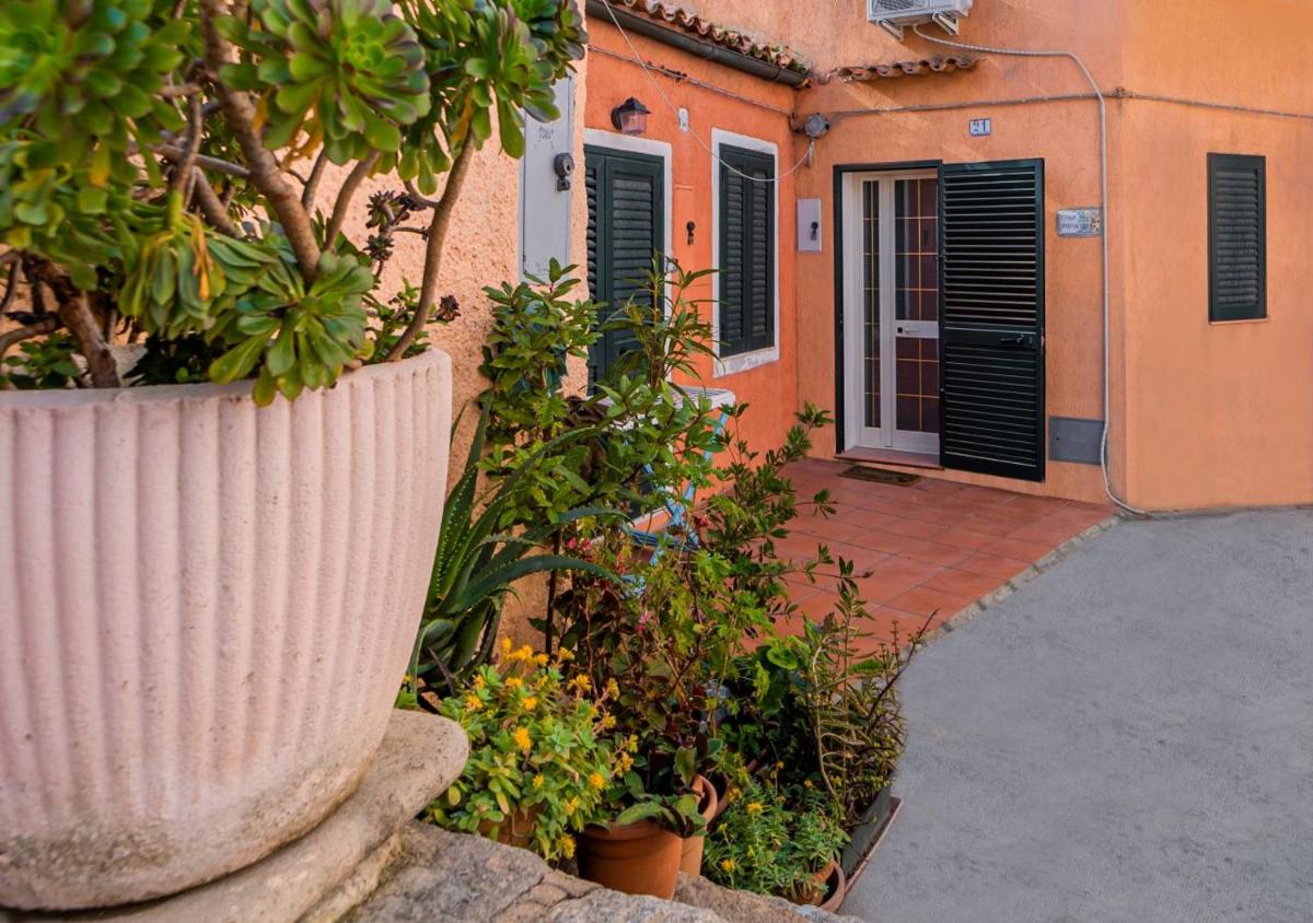 Murphy Holiday Home - Casa Papini - Housity