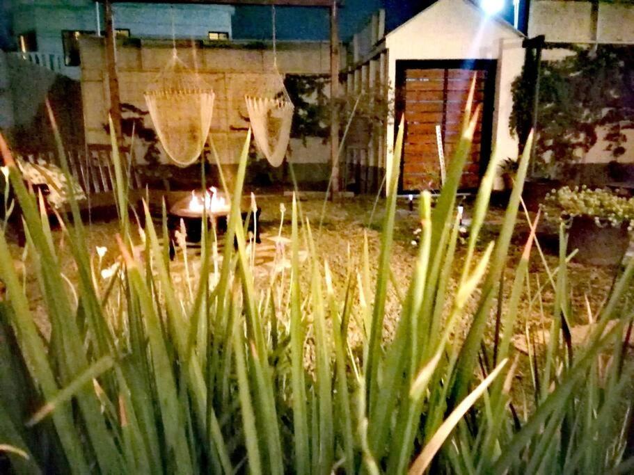 Cozy Habitación en el Jardín - Housity