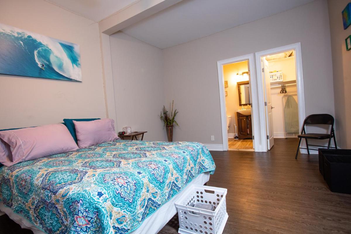 Cozy Studio in the Downtown/Montrose area - Housity