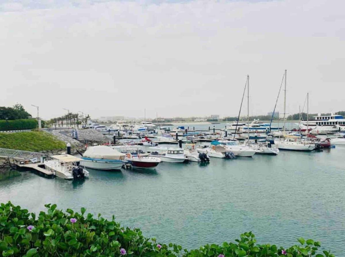 Stunning Gulf Studio With Gymbeachpool Access - Housity