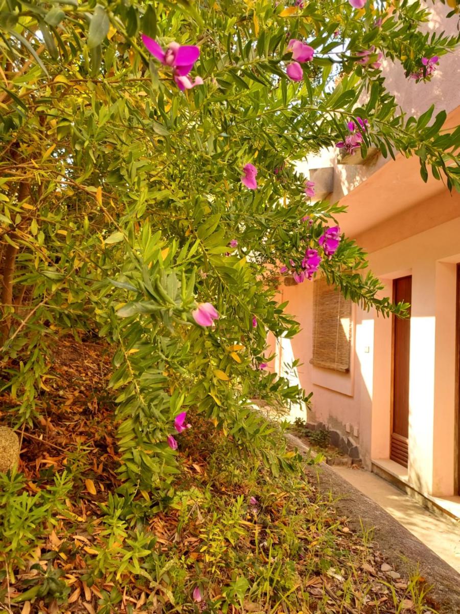 Natura incontaminata e relax - Housity