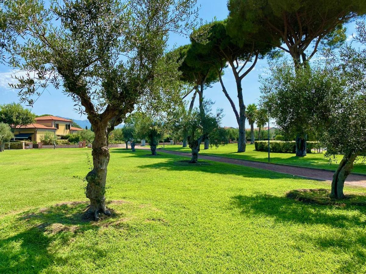 Appartamento Olimpia - Housity