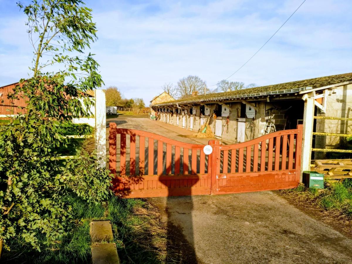 Spacieuse longère au milieu des chevaux - Housity