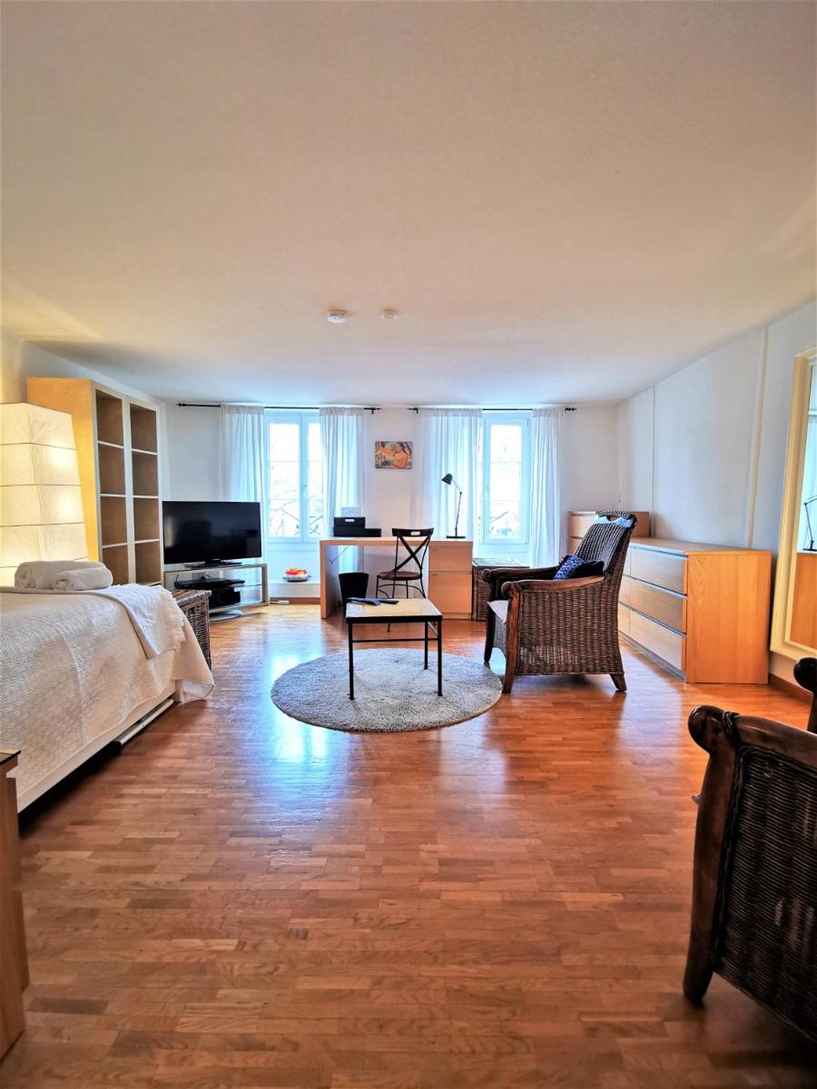 140 Lausanne Ouchy, BEST LOCATION 50 meters from the lake ! - Housity