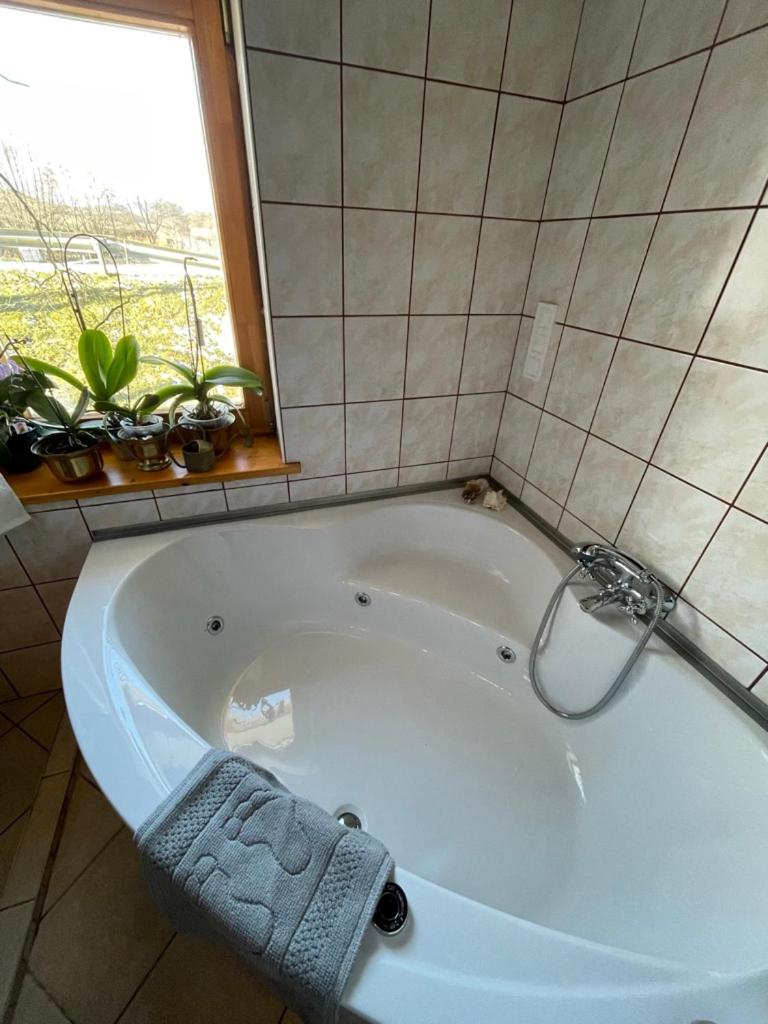 Feketevíz Vendégház - Nógrádon a Kéktúra vonalán. - Housity