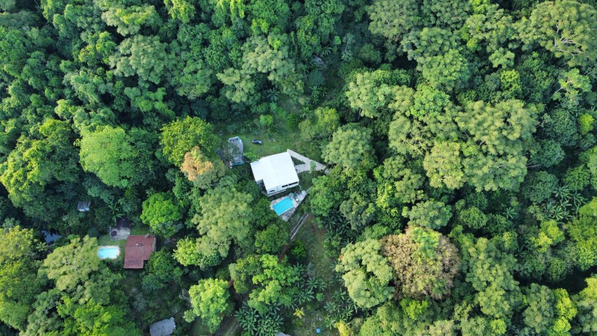 Suítes Caminho das Rosas Experiência na Montanha - Housity